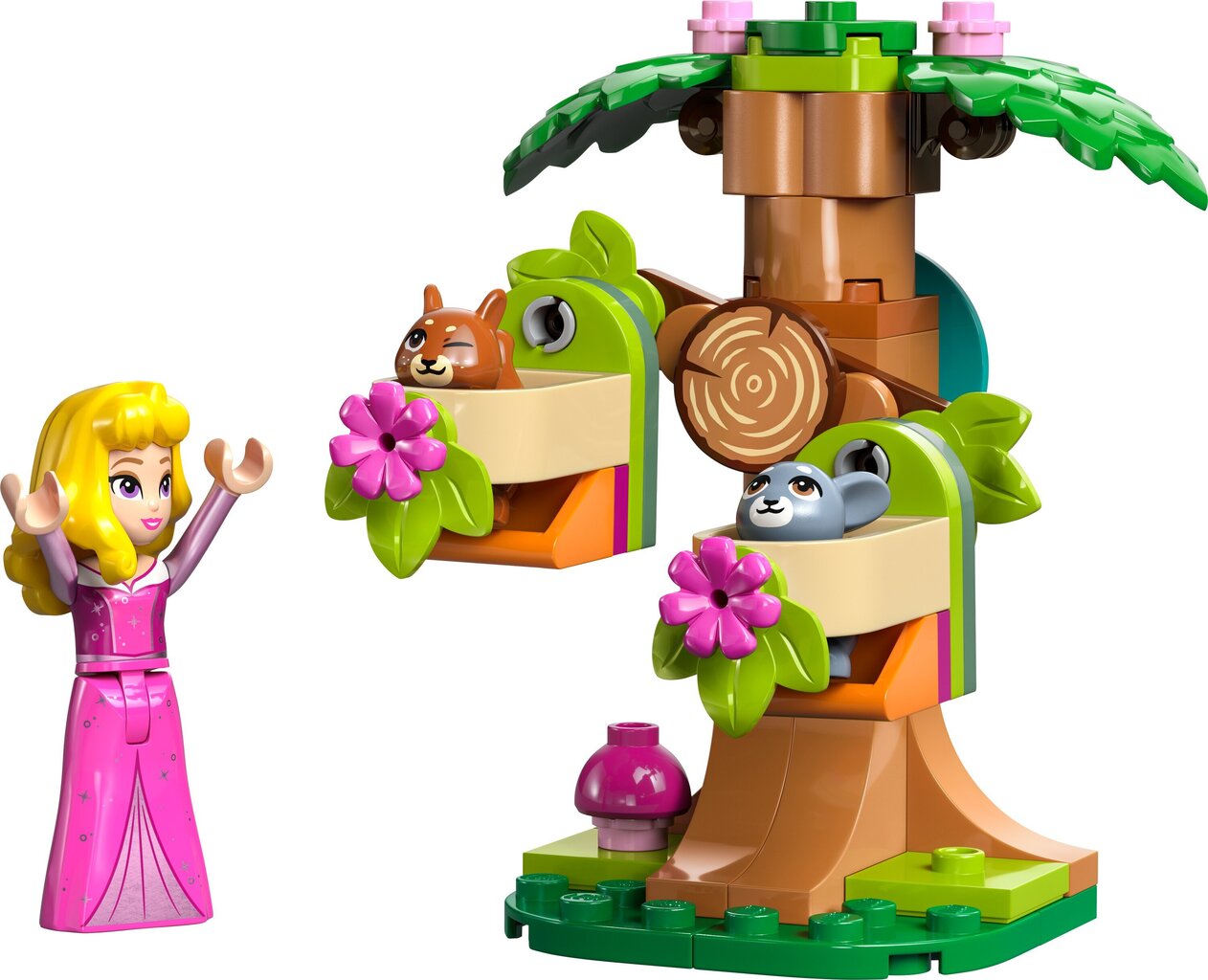 30671 LEGO® Disney Aurora meža rotaļu laukums cena un informācija | Konstruktori | 220.lv