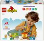 10419 LEGO® DUPLO Bišu un stropu kopšana cena un informācija | Konstruktori | 220.lv