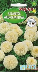 Бархатцы крупноцветковые, белые цена и информация | Семена цветов | 220.lv