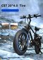 Elektriskais velosipēds Cmacewheel 20, pelēks cena un informācija | Elektrovelosipēdi | 220.lv