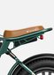 Elektriskais velosipēds Engwe, zaļš cena un informācija | Elektrovelosipēdi | 220.lv