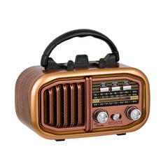 Retropolis Austin cena un informācija | Radioaparāti, modinātājpulksteņi | 220.lv