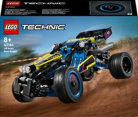 42164 LEGO® Technic Bezceļu sacīkšu bagijs cena un informācija | Konstruktori | 220.lv