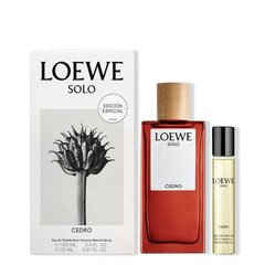 Набор Loewe Solo Loewe Cedro для мужчин цена и информация | Мужские духи | 220.lv