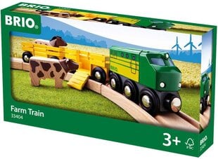 BRIO World 33748 Экспресс-поезд цена и информация | Игрушки для мальчиков | 220.lv