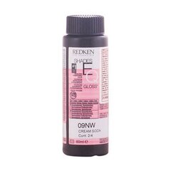 Полуперманентное окрашивание Shades Eq 09nw Redken (60 ml) цена и информация | Краска для волос | 220.lv