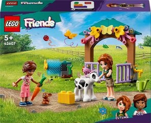 42607 LEGO® Friends Otumas teliņu kūts cena un informācija | Konstruktori | 220.lv