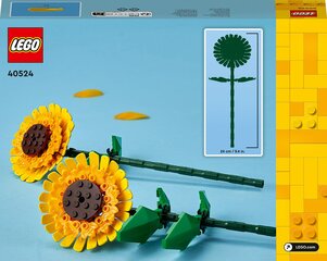 40524 LEGO® Iconic Saulespuķe cena un informācija | Konstruktori | 220.lv