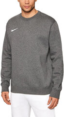Nike džemperis vīriešiem Park Crew CW6902, pelēks cena un informācija | Vīriešu jakas | 220.lv