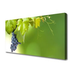 Reprodukcija Vīnogu vīnogas cena un informācija | Gleznas | 220.lv