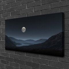 Reprodukcija Nakts Mēness ainava cena un informācija | Gleznas | 220.lv