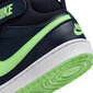 Nike Sporta apavi vīsiešiem Court Borough Mid 2 CD7782 403, zils cena un informācija | Sporta apavi vīriešiem | 220.lv