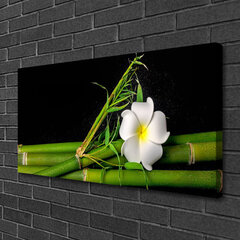 Reprodukcija Bambusa ziedu augi cena un informācija | Gleznas | 220.lv