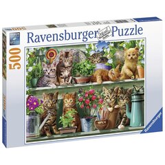 Ravensburger puzle 500 gabali Kaķi plauktā цена и информация | Пазлы | 220.lv