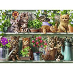 Пазл Ravensburger 500 деталей Кошки на полке цена и информация | Пазлы | 220.lv