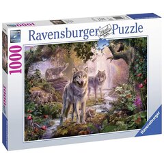 Ravensburger puzle 1000 gab. Vilki cena un informācija | Puzles, 3D puzles | 220.lv