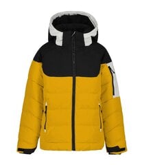 Детская куртка Icepeak Latta 200 г 50063-4*437 6438549471014, желтая/черная цена и информация | Куртки для мальчиков | 220.lv