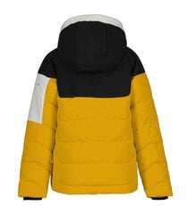Детская куртка Icepeak Latta 200 г 50063-4*437 6438549471014, желтая/черная цена и информация | Куртки для мальчиков | 220.lv