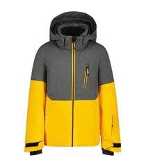 Детская куртка Icepeak Langdon 180 г 50065-4*437 6438549471229, желтая/черная цена и информация | Куртки для мальчиков | 220.lv