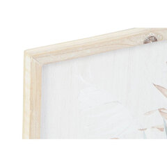 Картина DKD Home Decor 39 x 2 x 48 cm Кувшин Скандинавский (2 штук) цена и информация | Картины | 220.lv