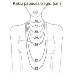 Kaklarota sievietēm 3201 AMB3201 cena un informācija | Kaklarotas | 220.lv