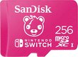 Atmiņas karte SanDisk MicroSDXC Fortnite Edition 256GB cena un informācija | Atmiņas kartes fotokamerām | 220.lv