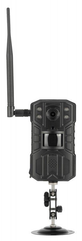 Redleaf takas kamera RD6300 LTE цена и информация | Videokameras | 220.lv