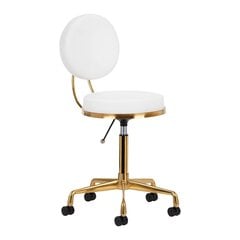 Профессиональное кресло мастера на колесиках H5, бело-золотое цена и информация | Мебель для салонов красоты | 220.lv