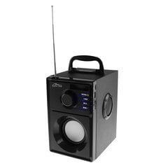 Портативная колонка Media-Tech BOOMBOX SILVER MT3179 цена и информация | Аудиоколонки | 220.lv