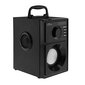 Media-Tech Boombox Silver MT3179 цена и информация | Skaļruņi | 220.lv