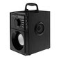 Media-Tech Boombox Silver MT3179 цена и информация | Skaļruņi | 220.lv