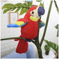 Interaktīva rotaļlieta papagailis, sarkana цена и информация | Mīkstās (plīša) rotaļlietas | 220.lv
