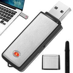 Mini diktofons USB flash drive цена и информация | Диктофоны | 220.lv