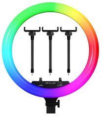 Gredzena lampa RGB 36 cm cena un informācija | Apgaismojums fotografēšanai | 220.lv