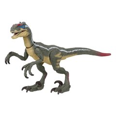 Figūriņa Jurassic World Hammond Collection Velociraptor cena un informācija | Rotaļlietas zēniem | 220.lv