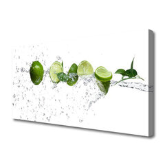 Reprodukcija Limet ūdens virtuve cena un informācija | Gleznas | 220.lv