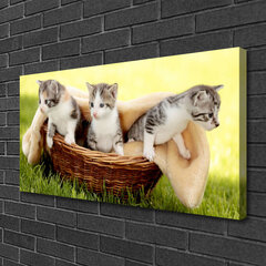 Reprodukcija Kaķu dzīvnieki цена и информация | Картины | 220.lv