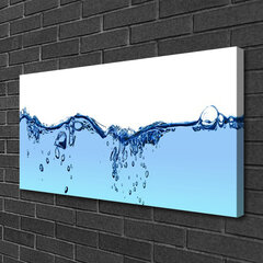 Reprodukcija Ūdens māksla cena un informācija | Gleznas | 220.lv