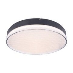 54W LED griestu lampa Maxlight Sekko kolekcija melna &Oslash;48cm 3000K 4320lm C0218 cena un informācija | Griestu lampas | 220.lv