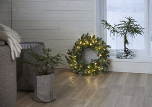 Wreath Greyland 612-94 цена и информация | Искусственные елки | 220.lv