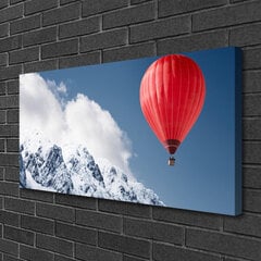 Reprodukcija Karstā gaisa balonu kalni sniegs cena un informācija | Gleznas | 220.lv