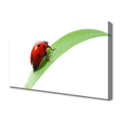 Reprodukcija Marija Beetle Leaf daba цена и информация | Картины | 220.lv