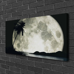 Reprodukcija Nakts mēness palmu ainava цена и информация | Картины | 220.lv
