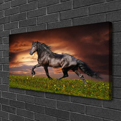 Reprodukcija Melnā zirga pļavu dzīvnieki cena un informācija | Gleznas | 220.lv