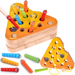 Montessori rotaļu komplekts 2in1 cena un informācija | Attīstošās rotaļlietas | 220.lv
