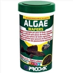 Prodac Algae Wafers augu plāksnes zivīm 1200ml 550g cena un informācija | Prodac Zoo preces | 220.lv