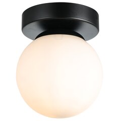 Griestu lampa G.LUX BALL-2 цена и информация | Потолочные светильники | 220.lv