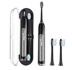 Электрическая зубная щетка с индукционной зарядкой и 2 насадками 3d DuPont LIVMAN FL-A21 цена и информация | Электрические зубные щетки | 220.lv