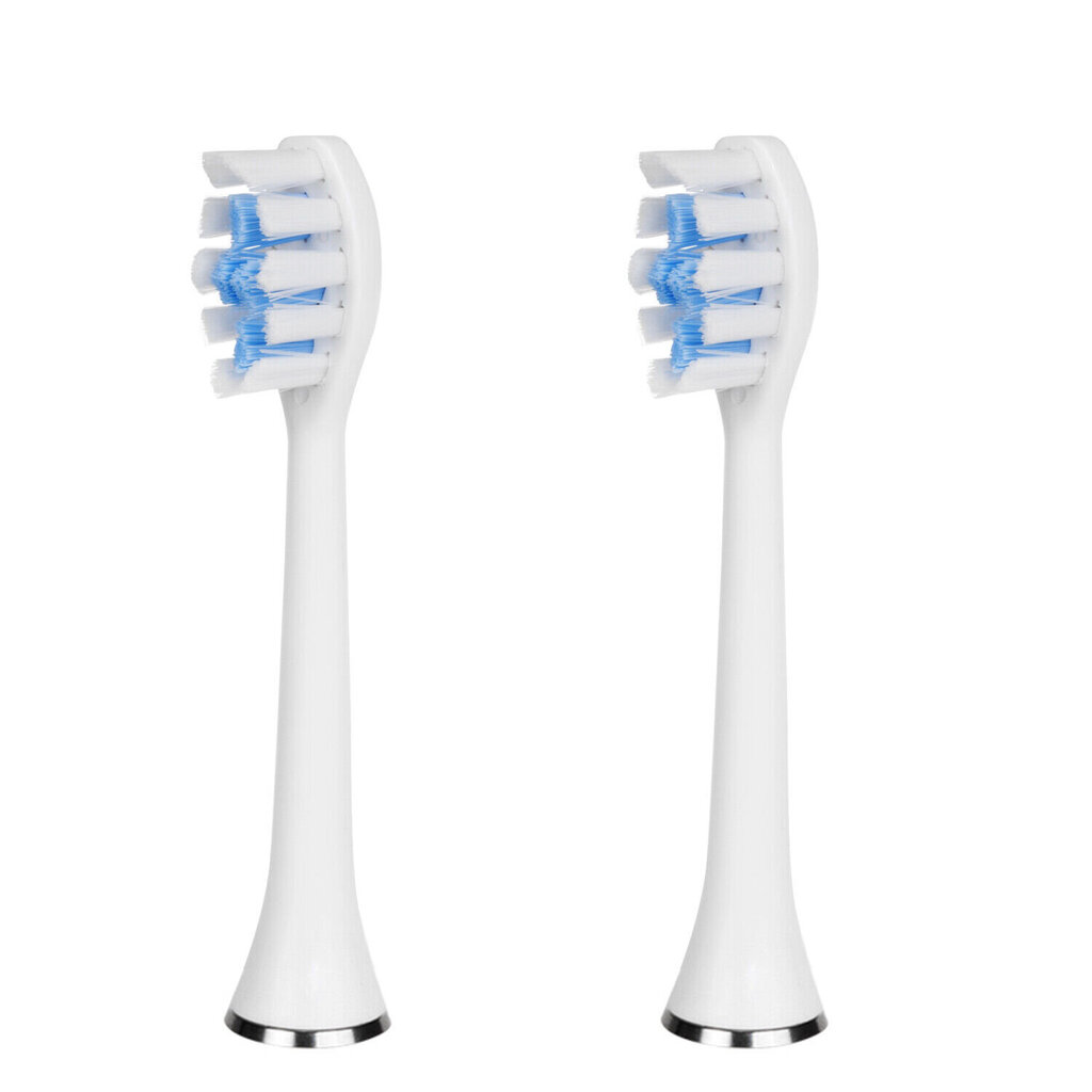 Elektriskā zobu birste ar indukcijas uzlādi un 2 gab 3d DuPont zobu birstes uzgaļi LIVMAN FL-A21 цена и информация | Elektriskās zobu birstes | 220.lv
