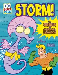 Storm!: The Origin of Aquaman's Seahorse cena un informācija | Grāmatas pusaudžiem un jauniešiem | 220.lv